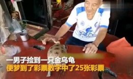 小雨娱乐爆料王,小雨娱乐独家爆料，揭秘明星幕后故事