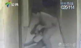 猪郎哥邻居爆料视频,邻里间的真实故事