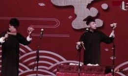 刘大锤爆料王九龙视频大全,王九龙视频大全背后的精彩瞬间