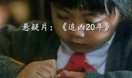 追凶20年在线观看完整,跨越时空的正义之战