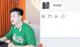 阿哲爆料老婆滑冰视频,优雅身姿引网友热议
