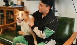 林生斌内部爆料视频播放,揭秘事件背后惊人真相