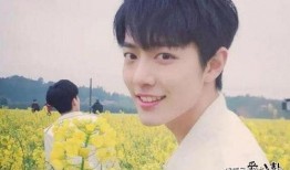 博君一肖是假吗圈内人爆料,圈内人爆料揭秘真相