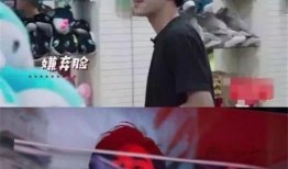 扒爷爆料大全视频,揭秘娱乐圈幕后真相