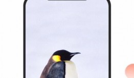 美少女探店爆料视频下载,带你领略美食背后的故事