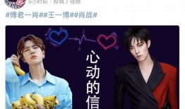 博君一肖是假吗圈内人爆料,圈内人爆料揭秘真相