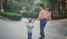 贾静雯弟弟爆料视频,独家视频曝光惊人内幕